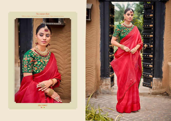 5D Designer Saloni Festive Wear Wholesale Saree Collection